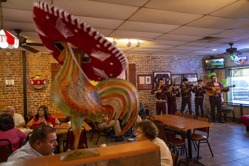 Mariachi at Casa Rodriguez